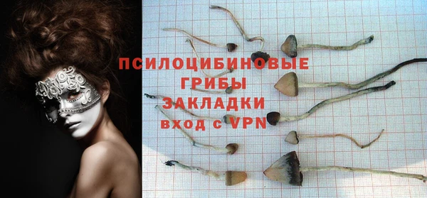 спиды Верхний Тагил