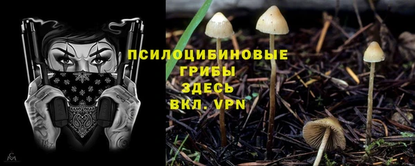 спиды Верхний Тагил